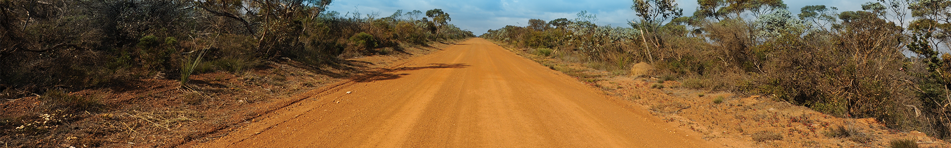 Outback dirt road